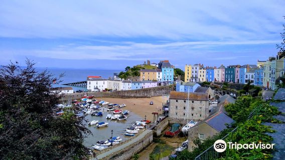 Tenby Harbour