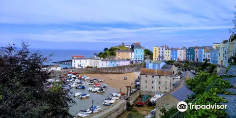 Tenby Harbour