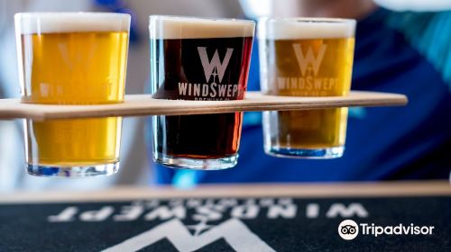 Windswept Brewing Co