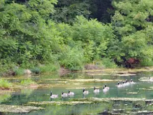 던바어 케이브 주립공원