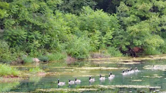 ダンバー・ケーブ州立公園