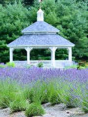 Lavender Pond Farm