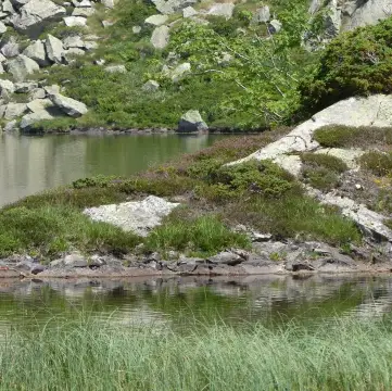 Сюк-Э-Сантенак