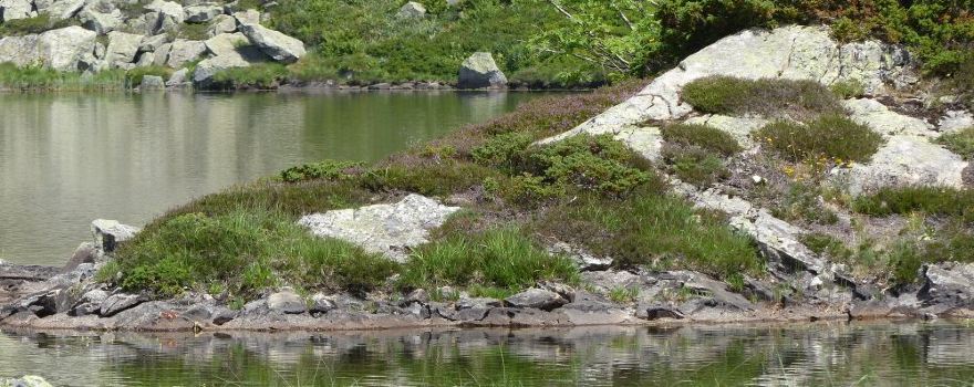 Etang d'Arbu