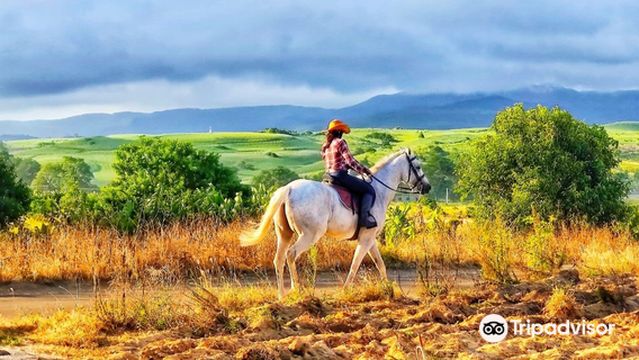CENTRE EQUESTRE DE RIAMBEL