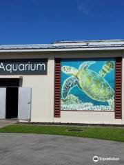 パラオ水族館