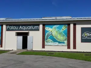 帕勞水族館