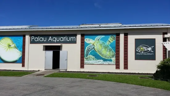 帕勞水族館