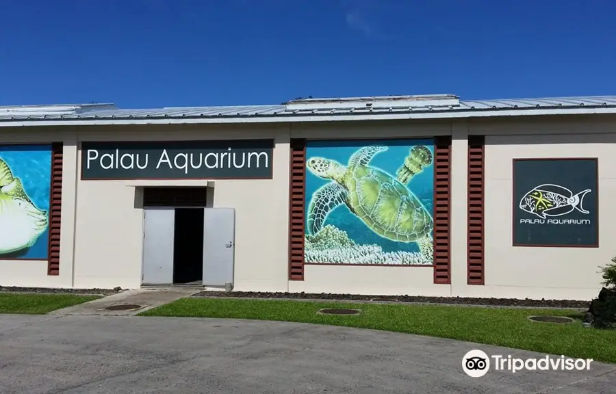 パラオ水族館