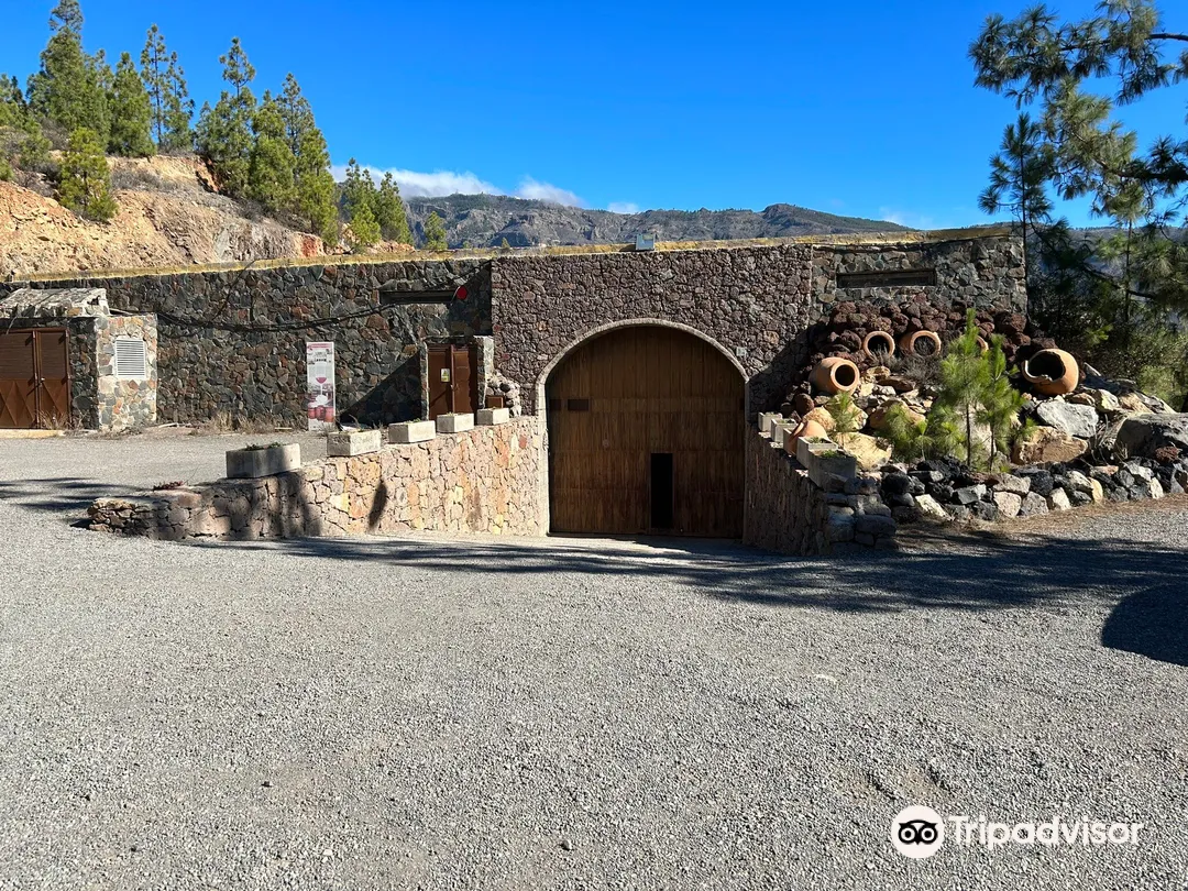 2_Bodegas Las Tirajanas