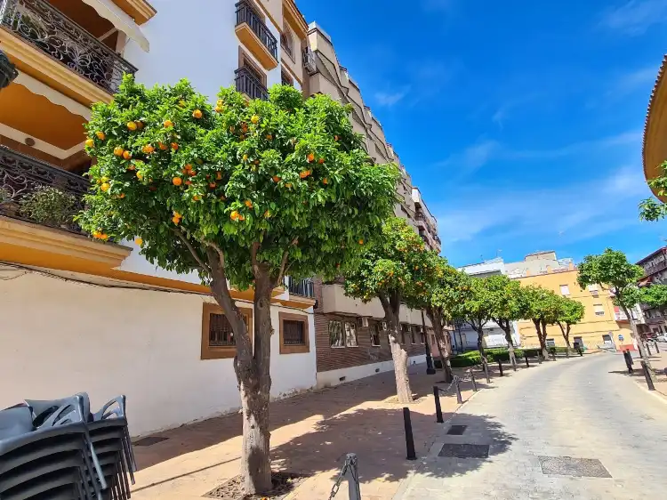 Linares