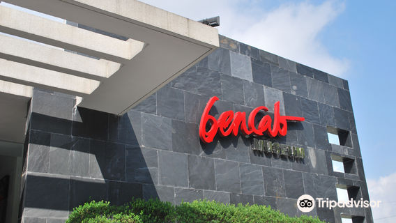 BenCab Museum