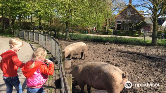 Environmental Education Center Children MEK