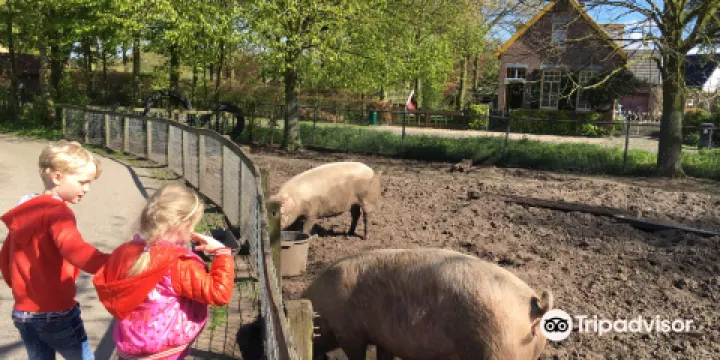 Stichting Milieu Educatie en Kinderboerderij