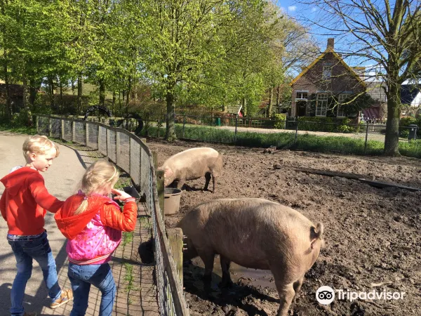 Environmental Education Center Children MEK