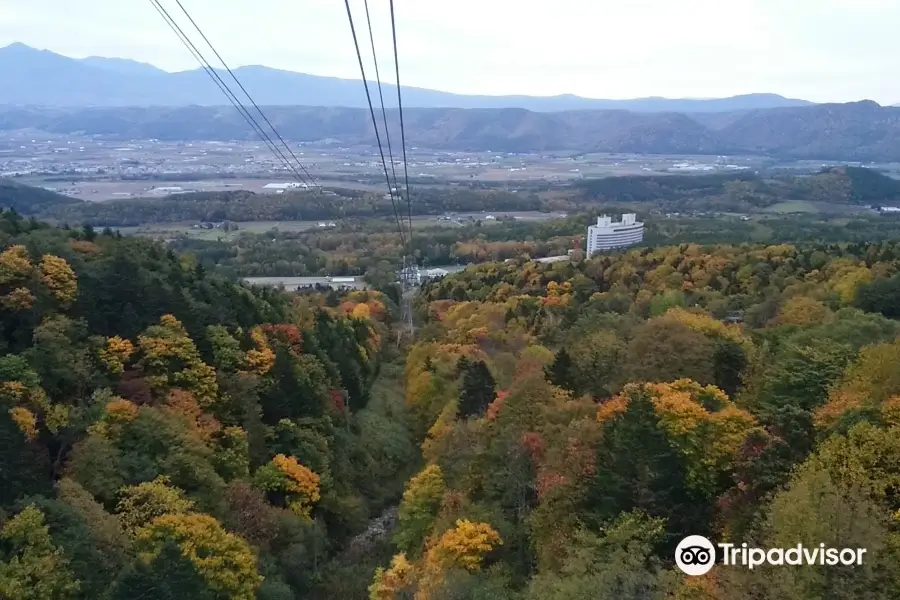 Furano Ropeway