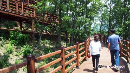 Mancheonha Skywalk