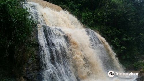 Rio la planta Arecibo