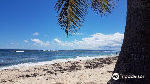 Plage des Raisins Clairs