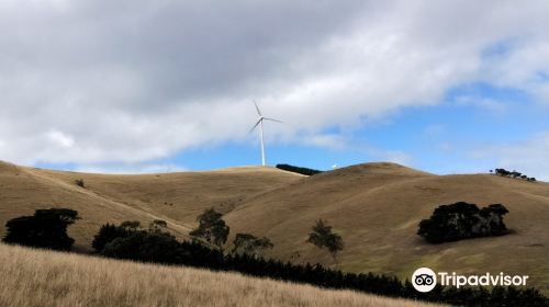 Toora Wind Farm