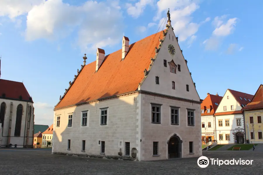 Town Hall in Bardejov, Saris Museum, Historical exhibition