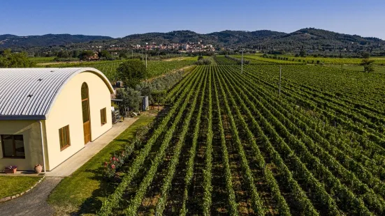 Azienda Agricola Terradonnà