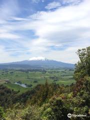 The Puketawa Track