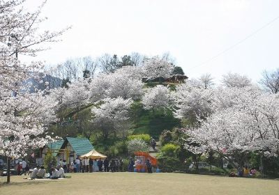 Oyasu Park
