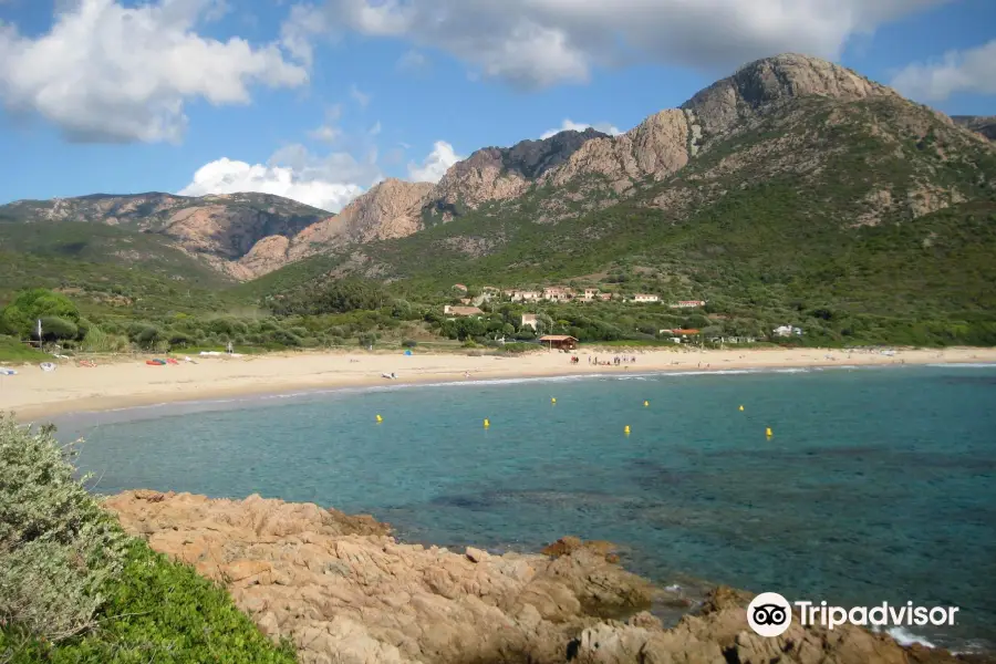 Plage d'Arone