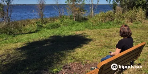 Sabal Bluff Preserve