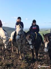 Devil's Bit Pony Trekking