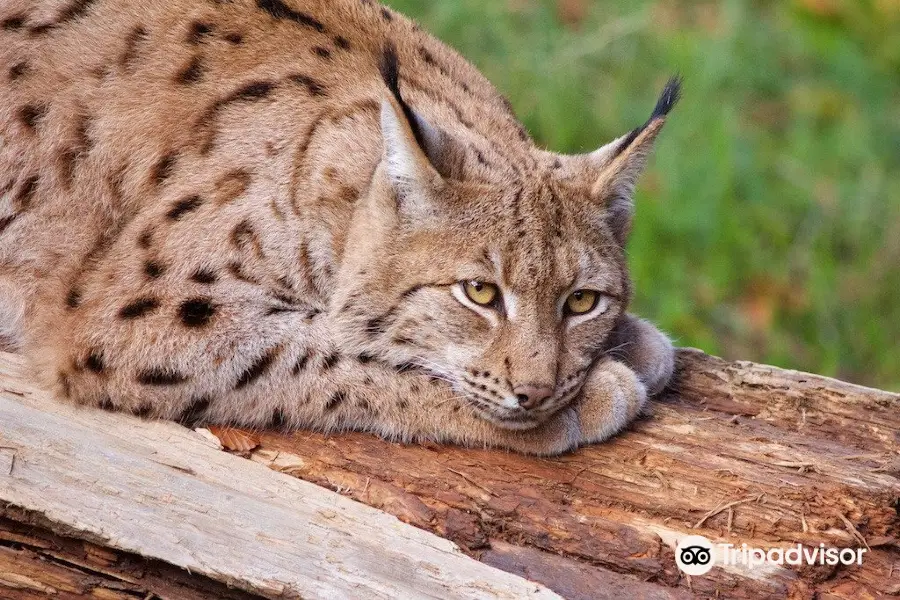 Zoo di La Garenne