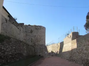 Leonardòs Walls