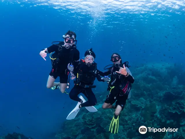 Diving in Koh Chang