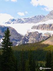 Crowfoot Glacier