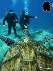 Wet Monster Dive Center Tenerife