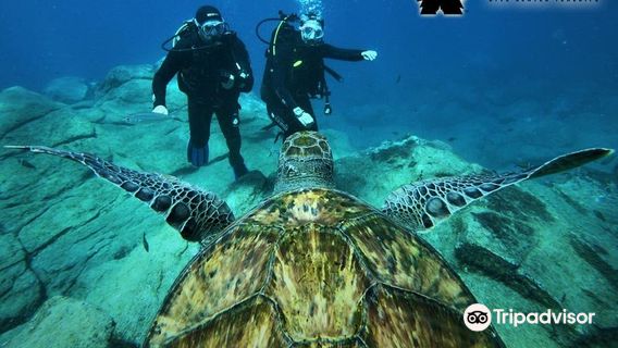 WET MONSTER Dive Center - Polskie Centrum Nurkowe Teneryfa