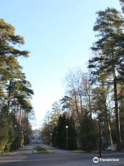 Zelenogorskiy Park Kul'tury I Otdykha