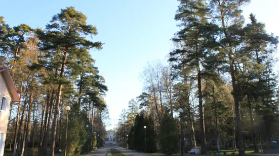 Zelenogorskiy Park Kul'tury I Otdykha