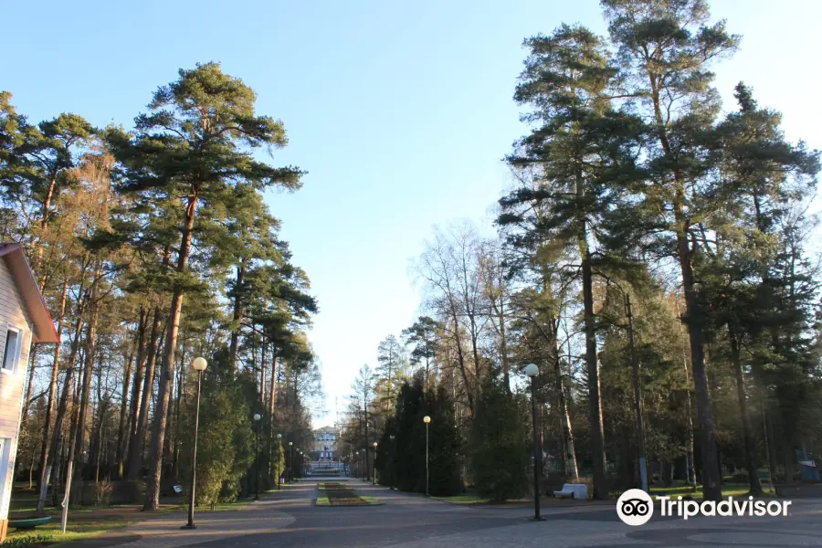 Zelenogorskiy Park Kul'tury I Otdykha