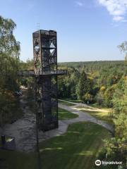 The Treetop Walking Path