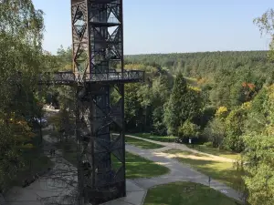 Treetop walking path