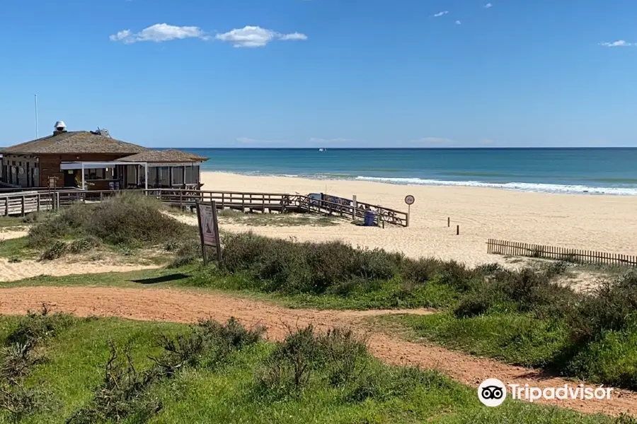 Praia da Rocha Baixinha