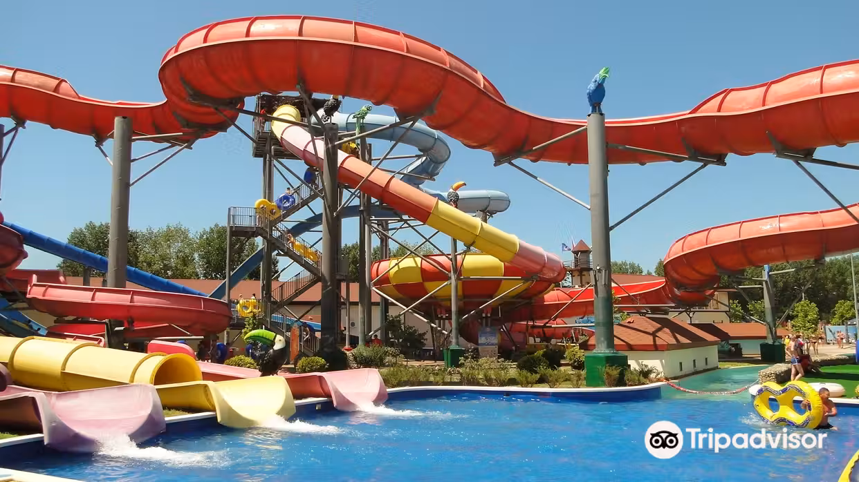 Tiket pesawat Alicante Gelendzik