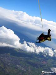 Skydive Buzz Ltd