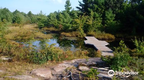 Six Mile Lake Provincial Park