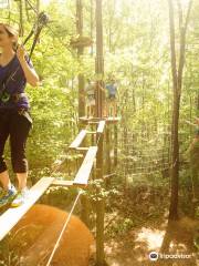 Go Ape Zipline & Adventure Park