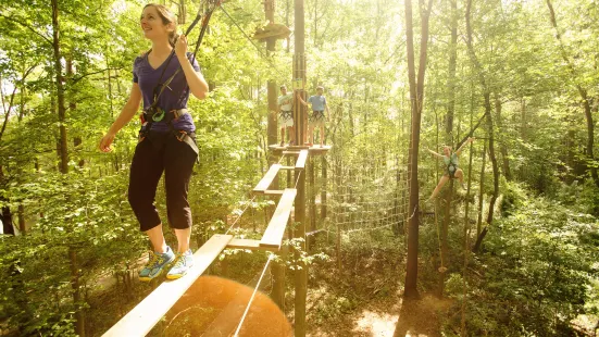 Go Ape Treetop Adventure Course