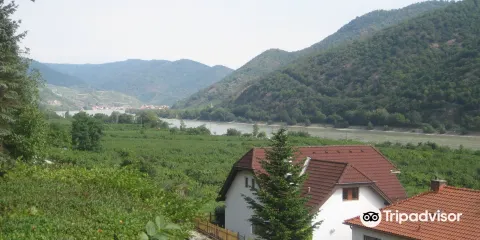 Venus of Willendorf遺址