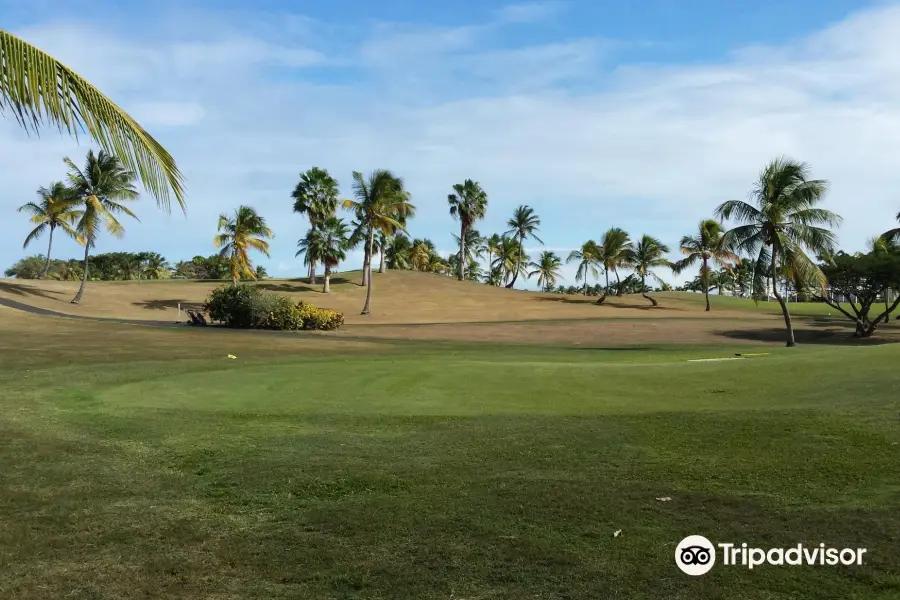 Golf international de Saint-Fran?ois